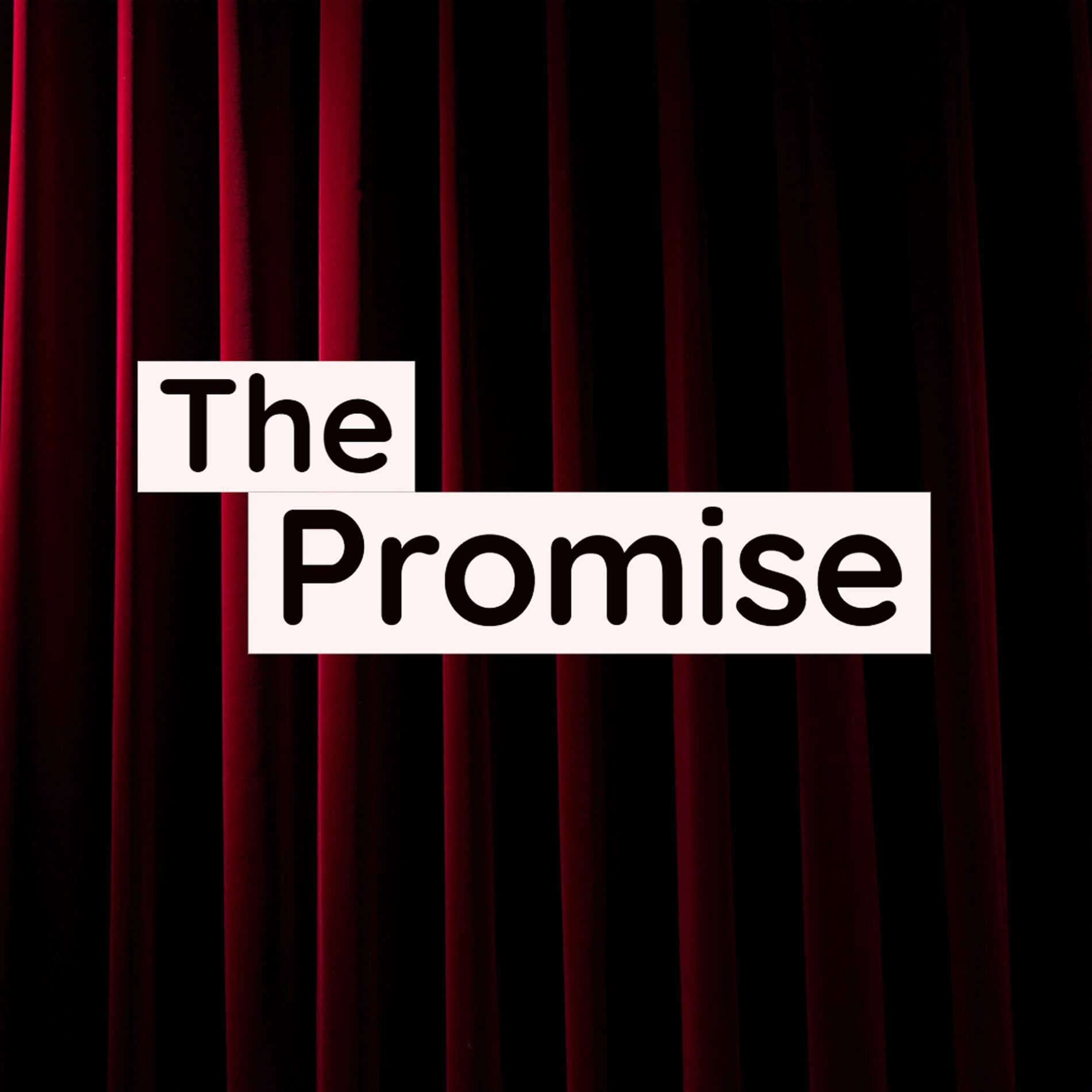 Album cover of The Promise