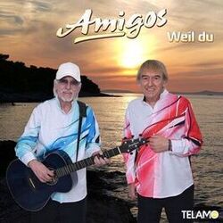 music cover