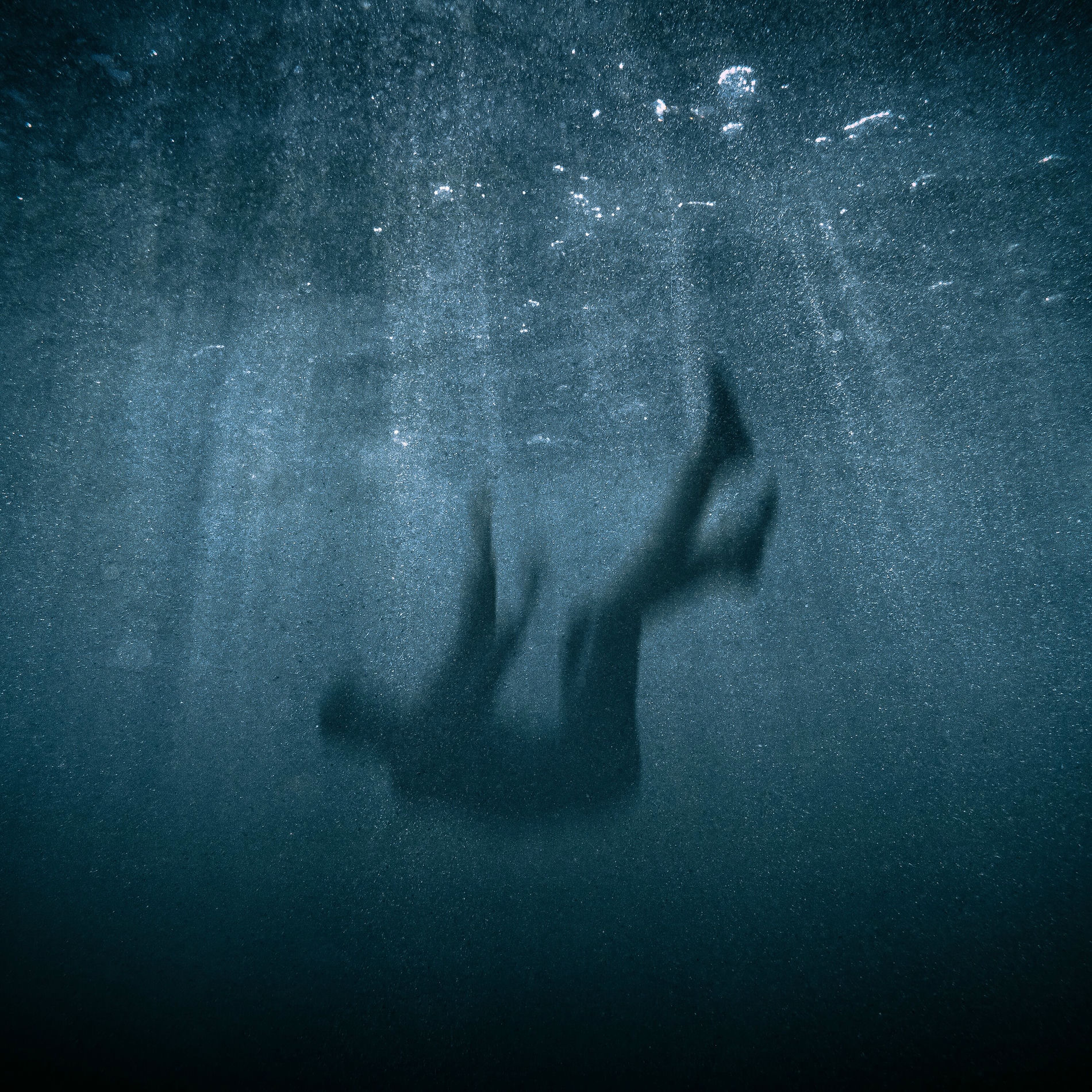 Album cover of Du