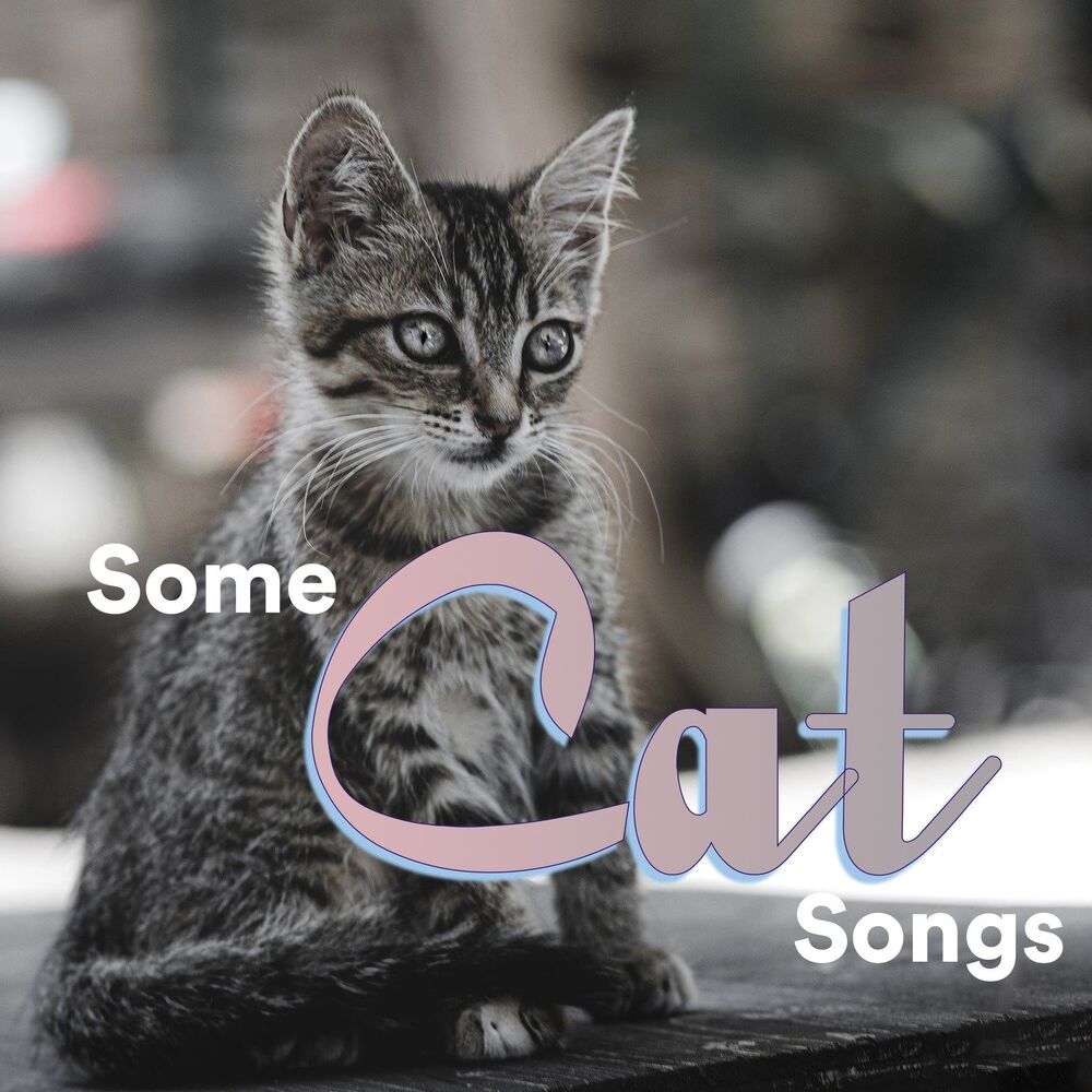 Picture of Some Cat Songs
