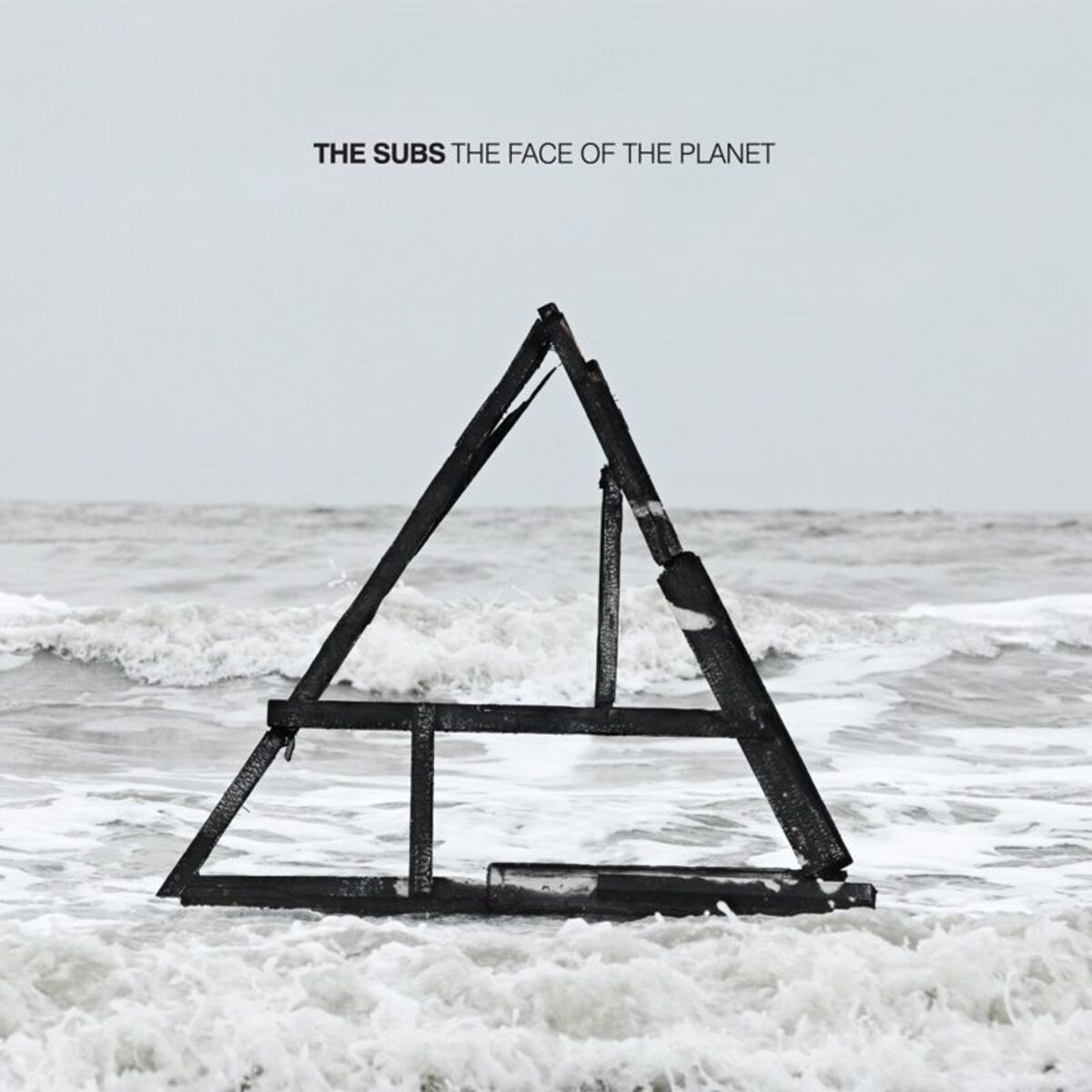 Album cover of The Face Of The Planet