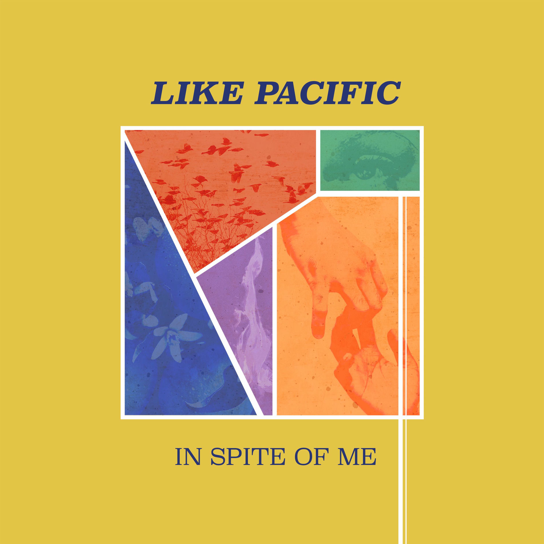 Album cover of In Spite of Me