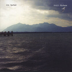 Cover of Still Picture