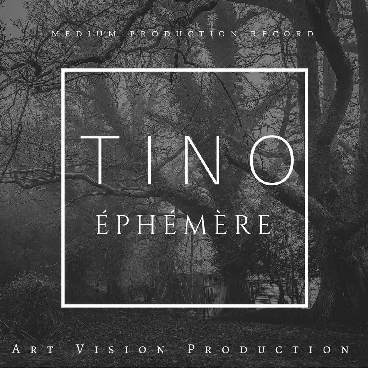 Album cover of ÉPHÉMÈRE