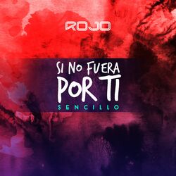 Cover of Si No Fuera Por Ti