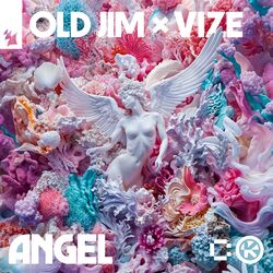 Cover of Angel