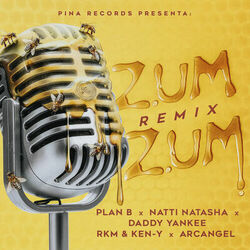 Cover of Zum Zum (Remix)