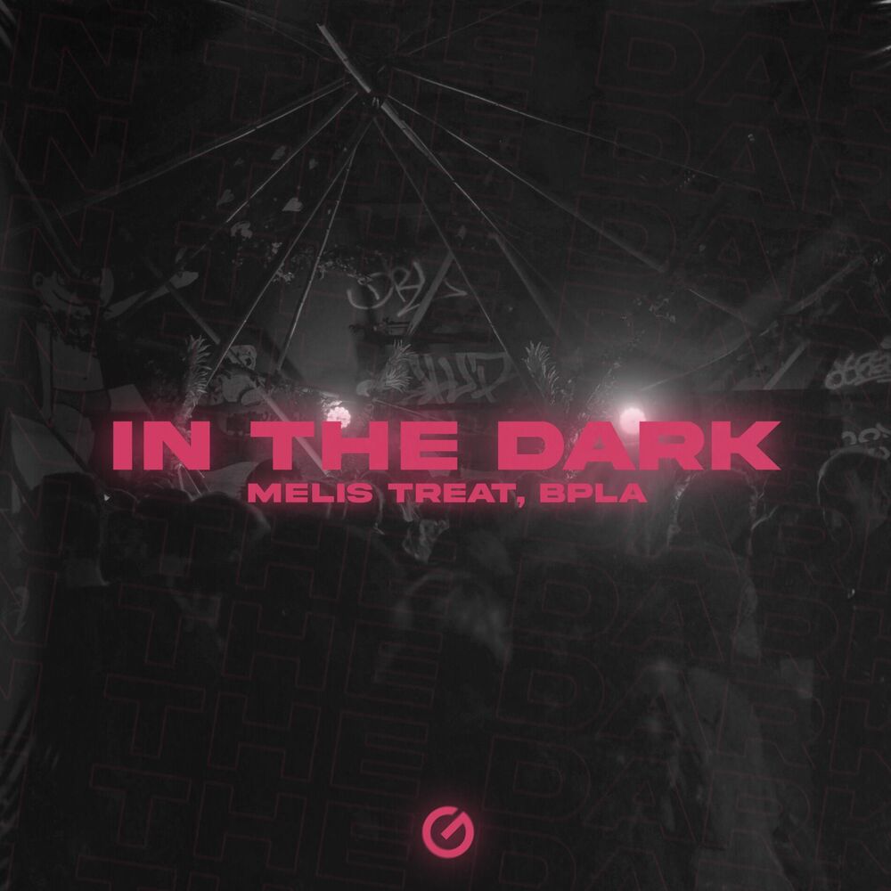 Picture of In The Dark
