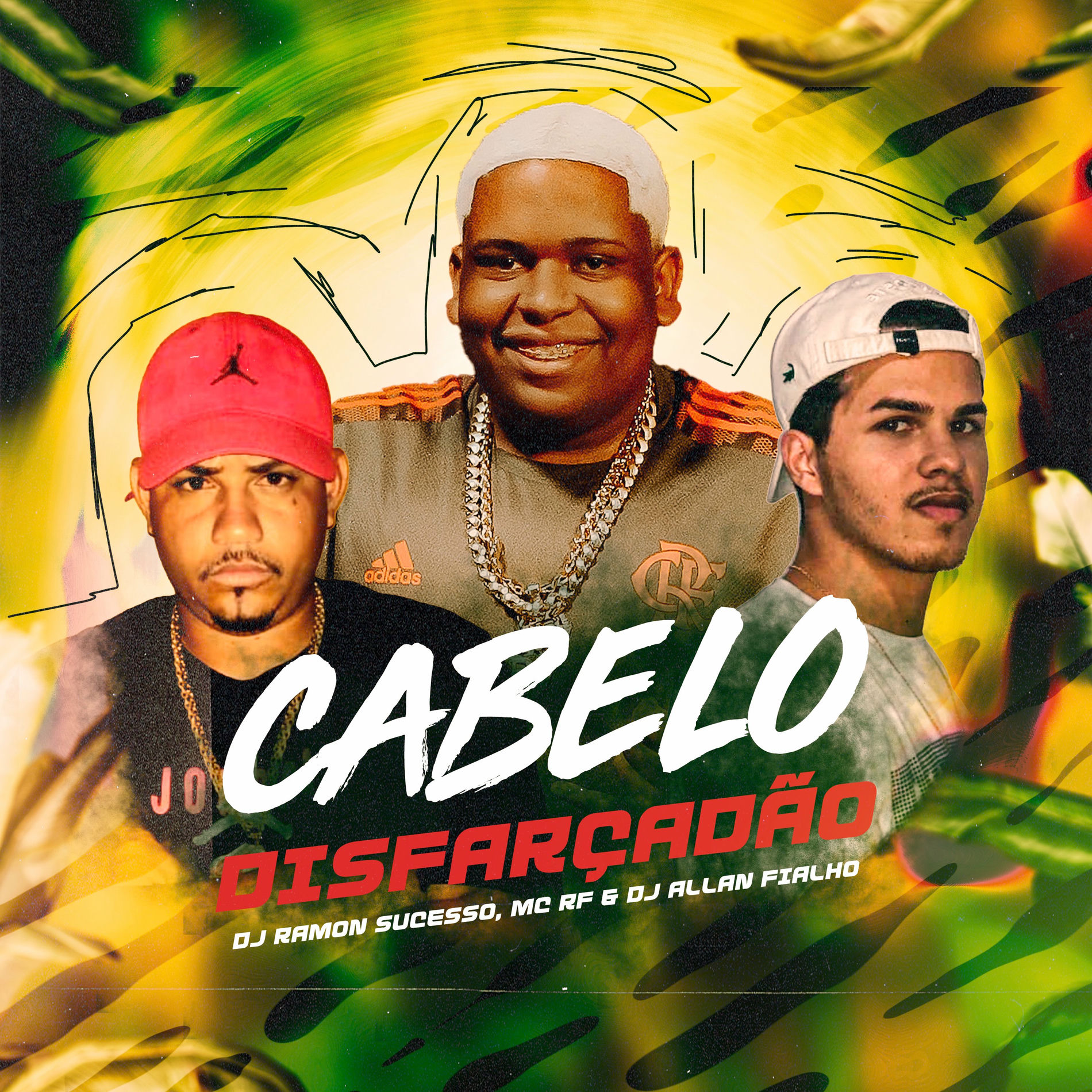 Album cover of Cabelo Disfarçadão