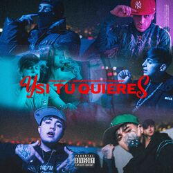 Cover of Y Si Tu Quieres