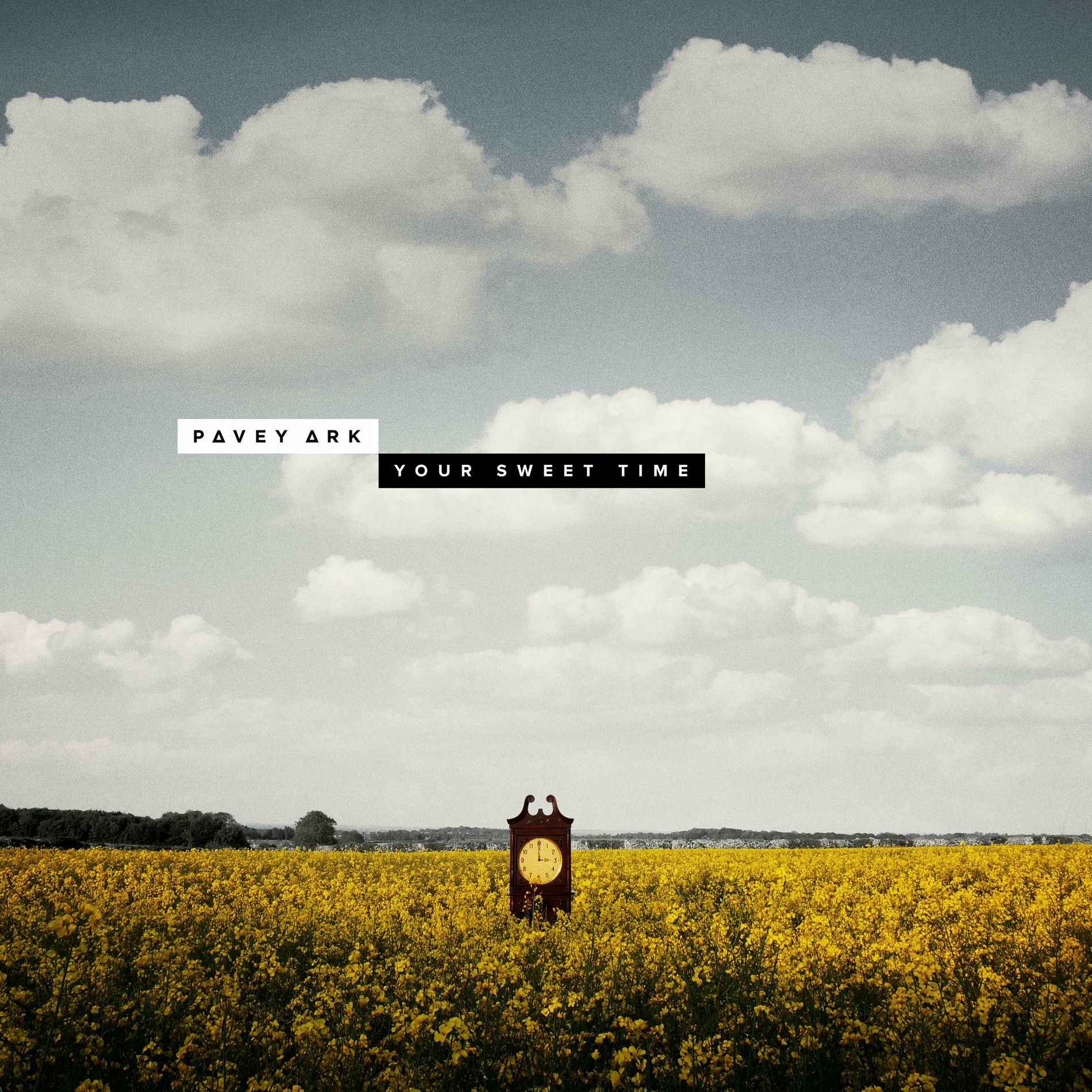 Album picture of Your Sweet Time