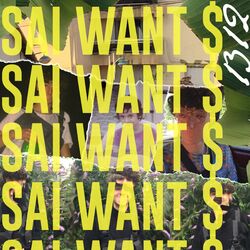 Cover of Want $
