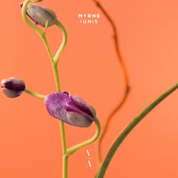 Cover of Ignis