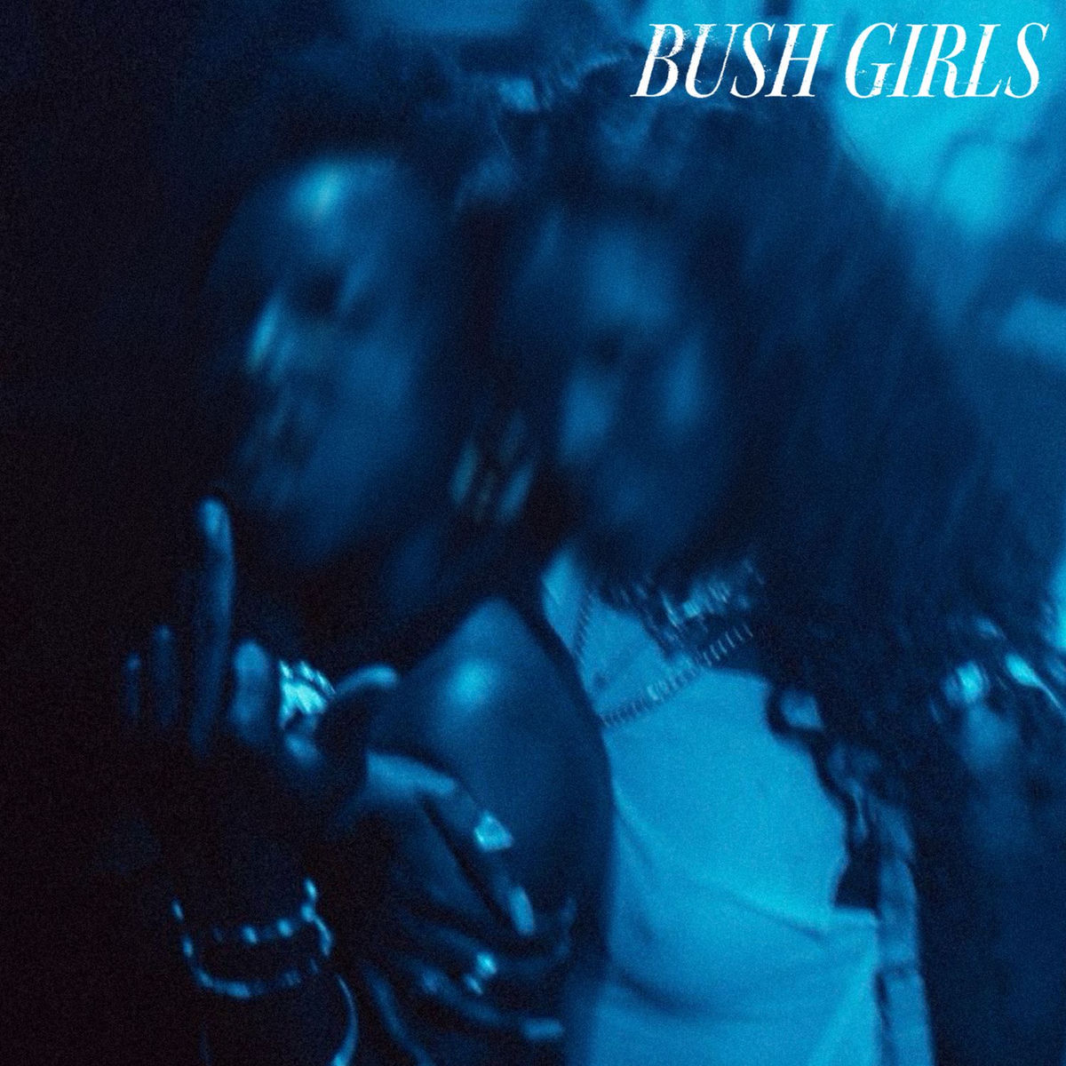Album cover of Bush Girls