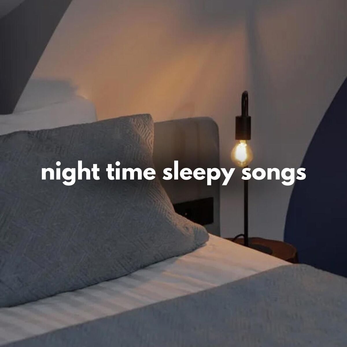 Album cover of night time sleepy songs