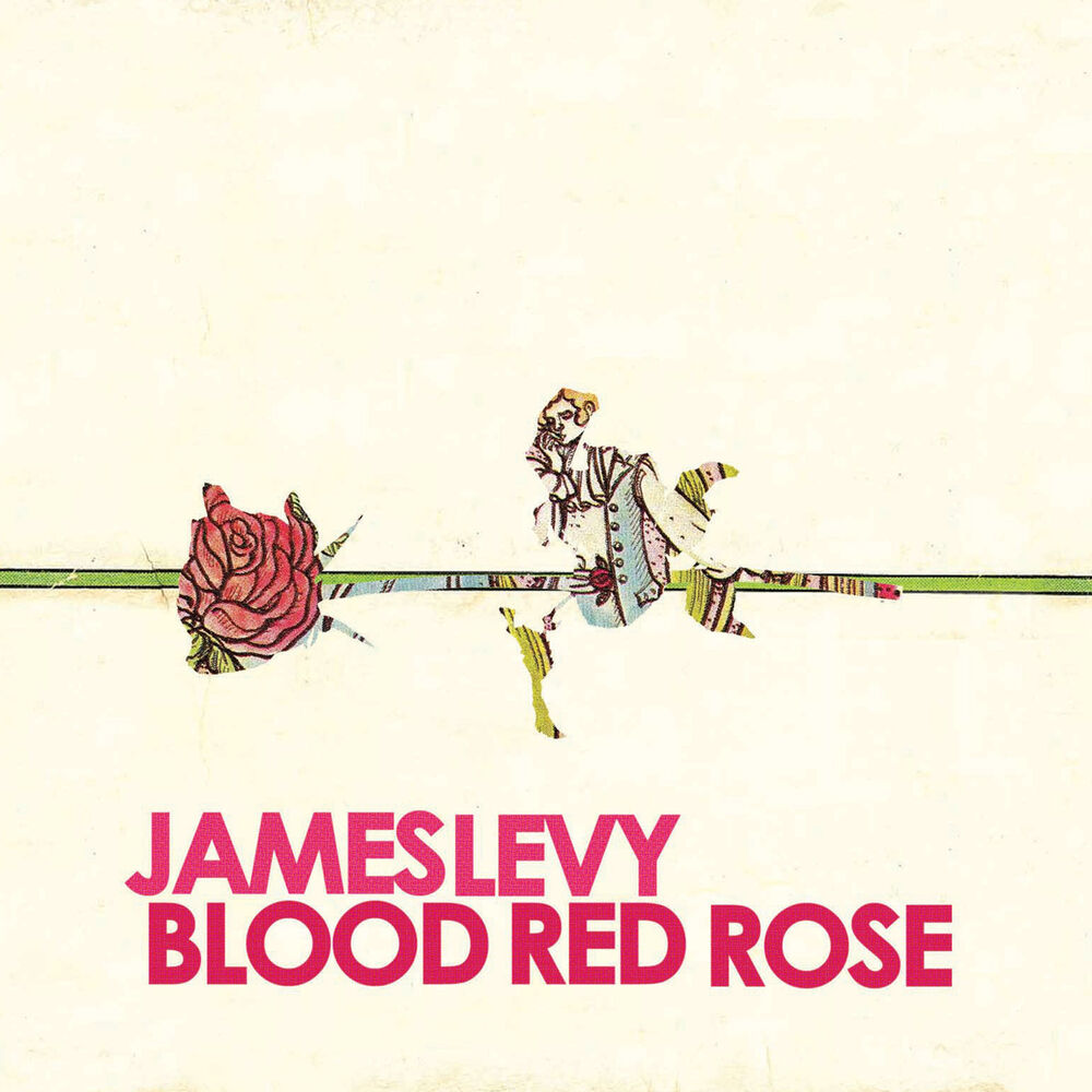 Picture of Blood Red Rose