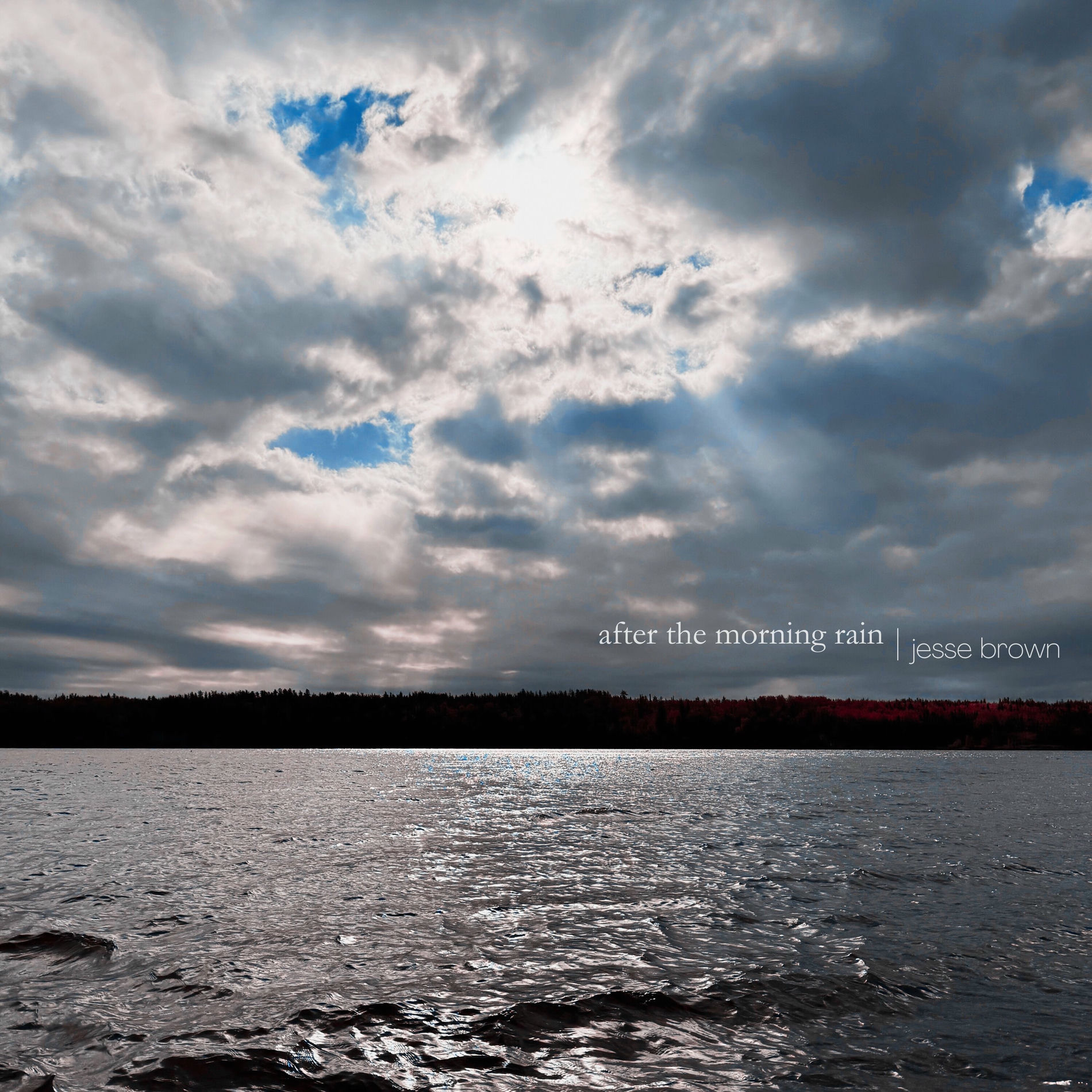 Album cover of after the morning rain