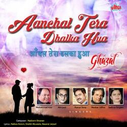 Cover of Aanchal Tera Dhalka Hua
