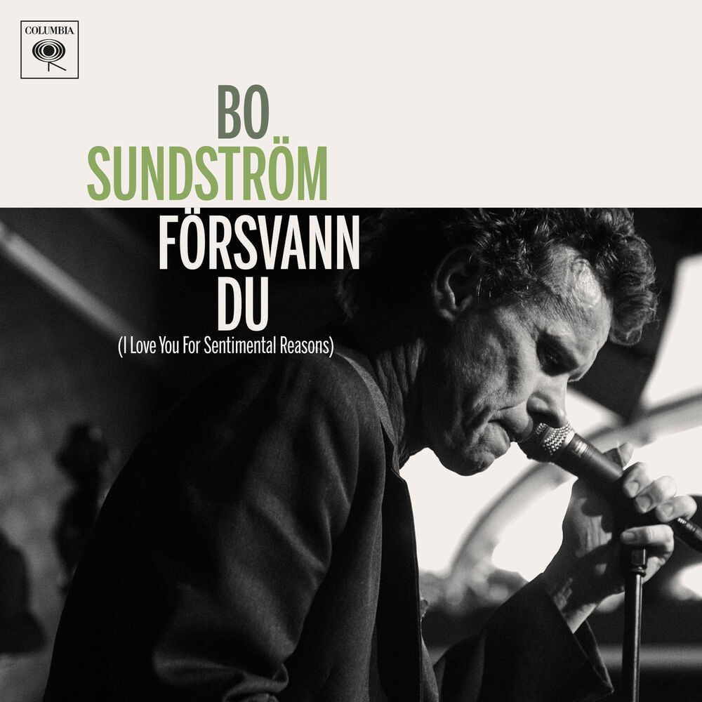 Picture of Försvann du
