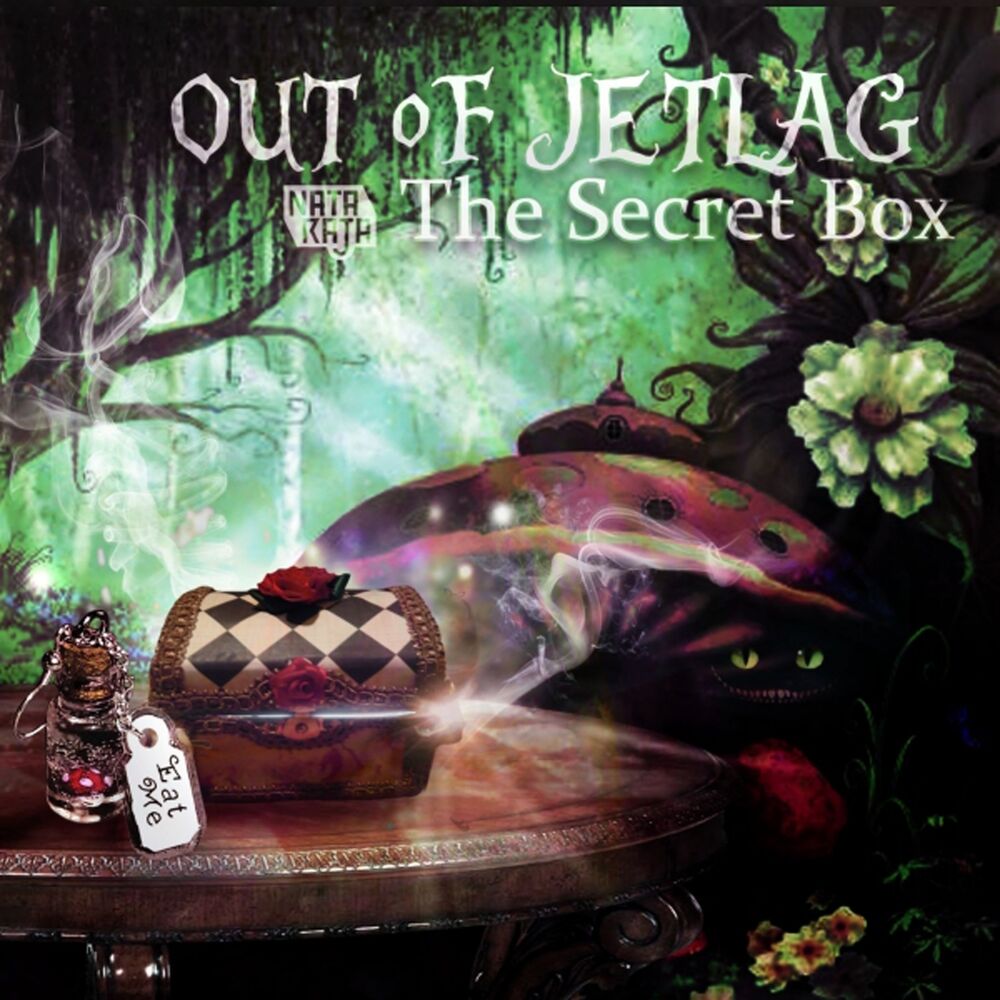Picture of The Secret Box