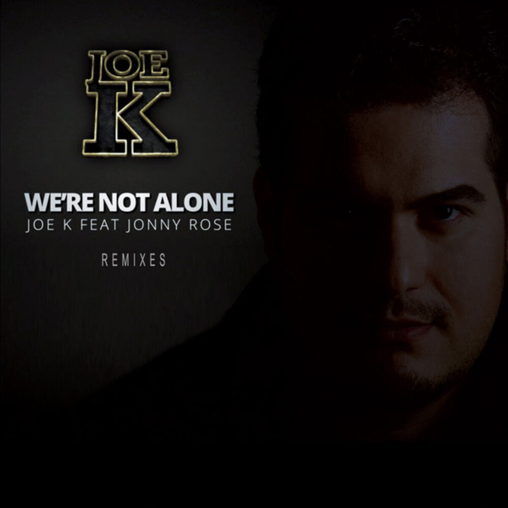 Picture of We're Not Alone (Remixes)
