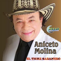 Cover of Aniceto Molina Mis Exitos