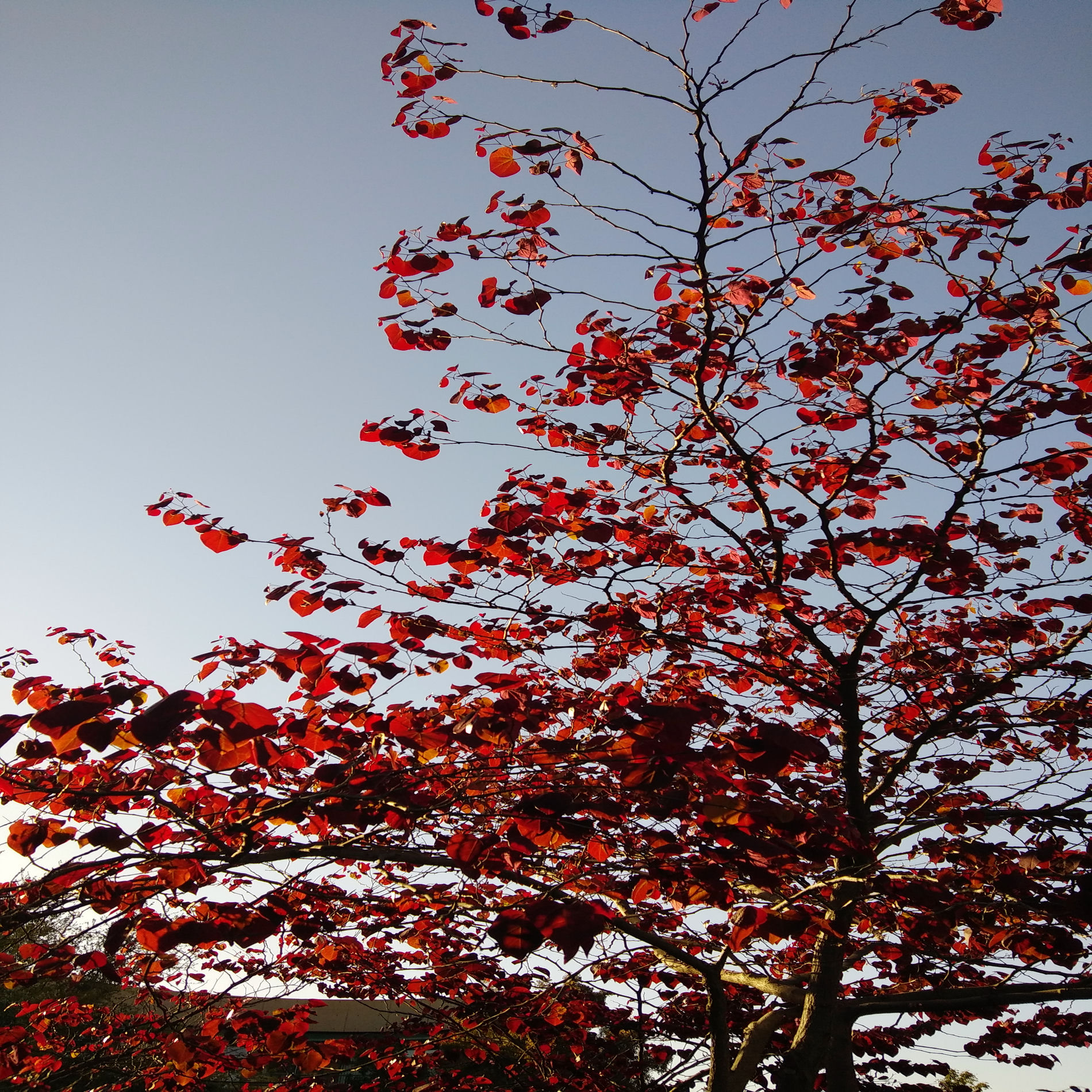 Album picture of april showers