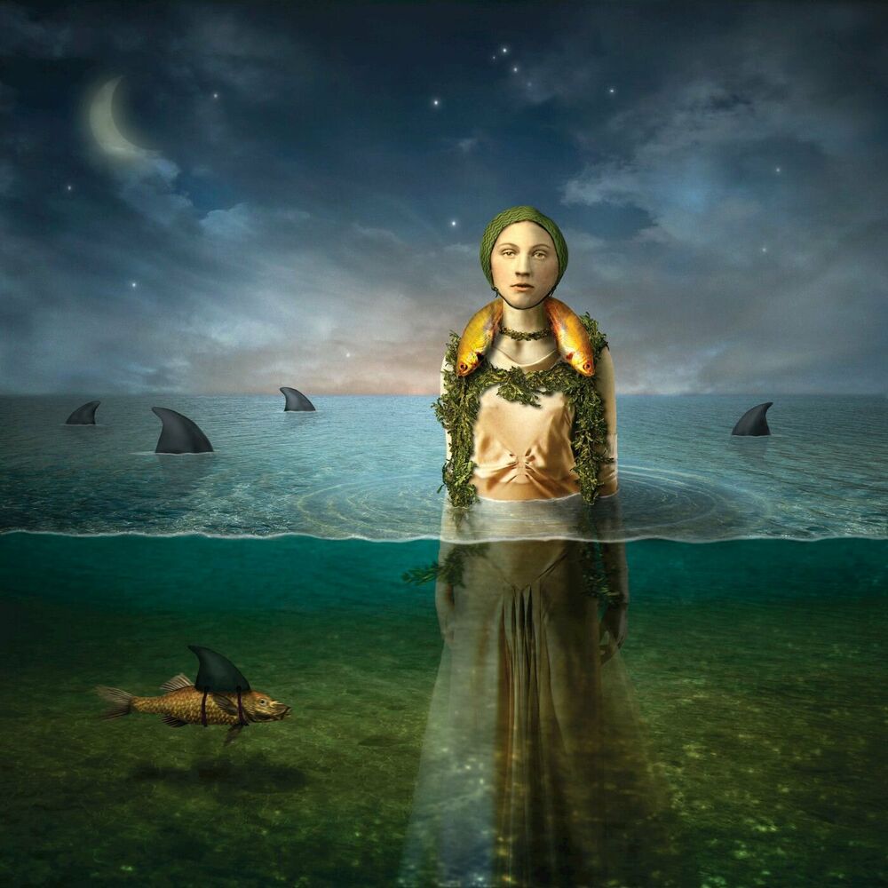 Picture of Found in the Flood