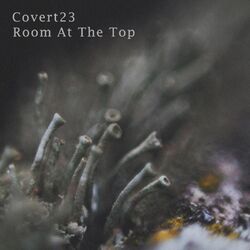 Cover of Room At The Top