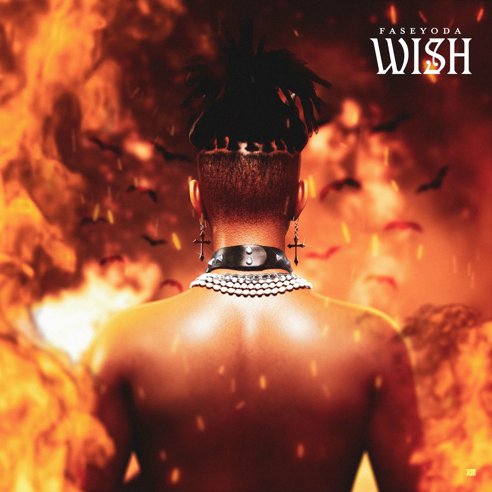 Album cover of Wish
