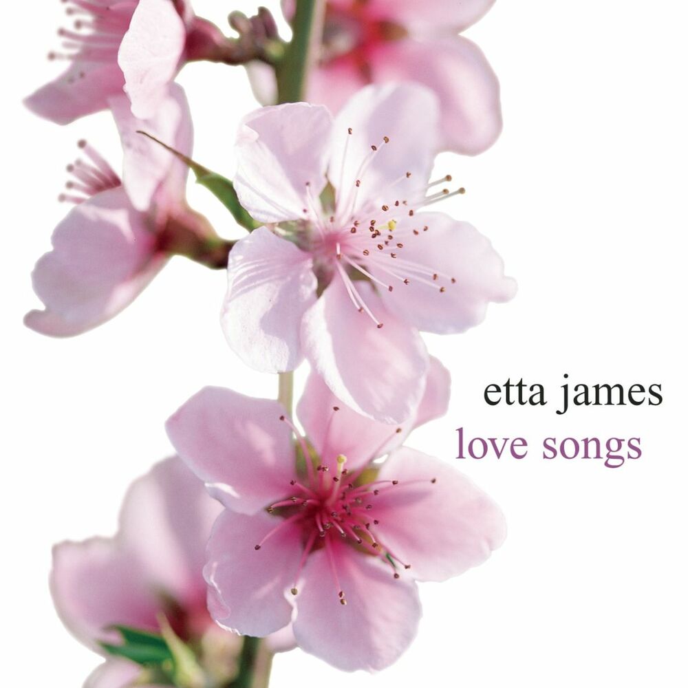 Picture of Love Songs