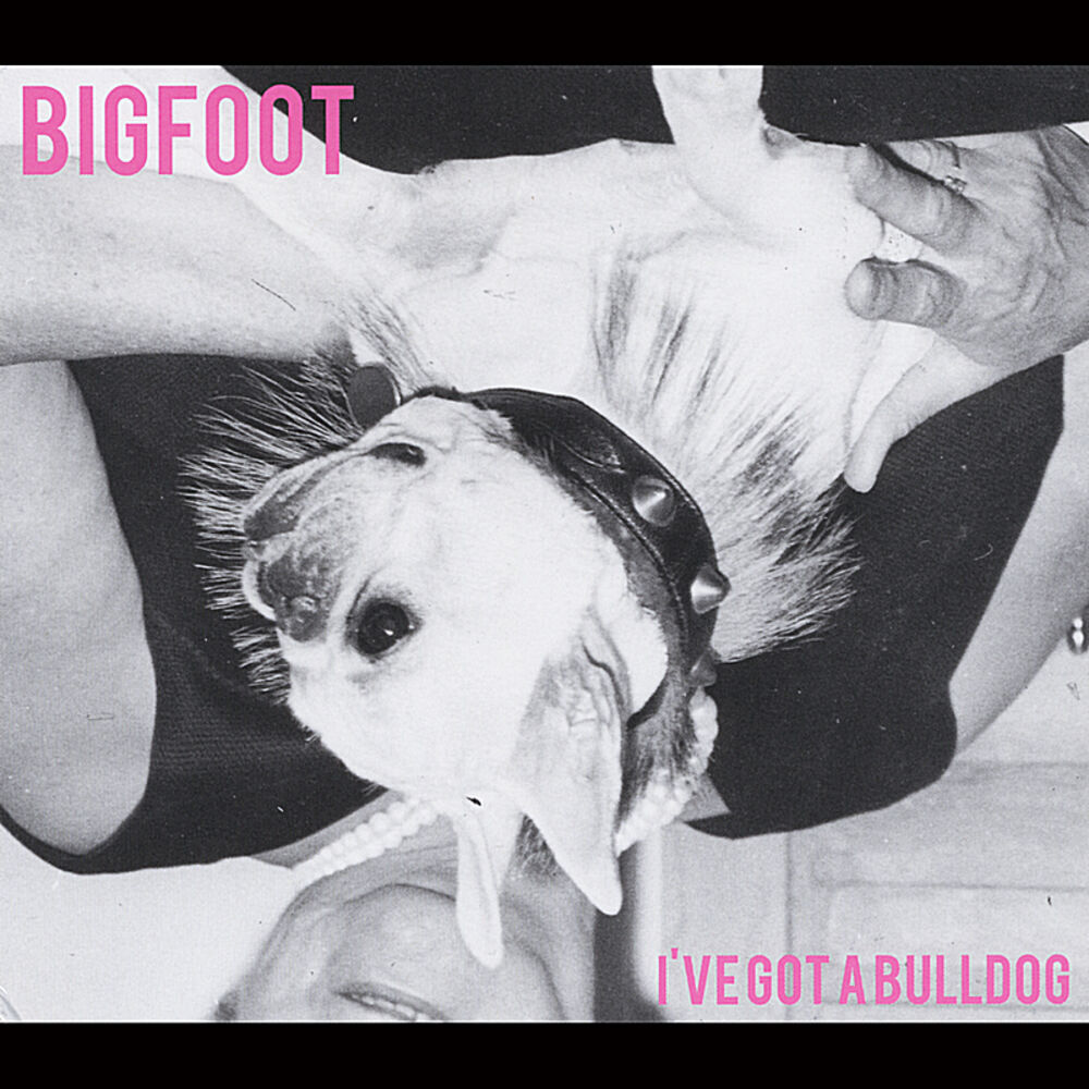 Picture of I've Got a Bulldog