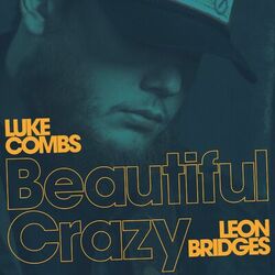 Cover of Beautiful Crazy (feat. Leon Bridges) (Live)