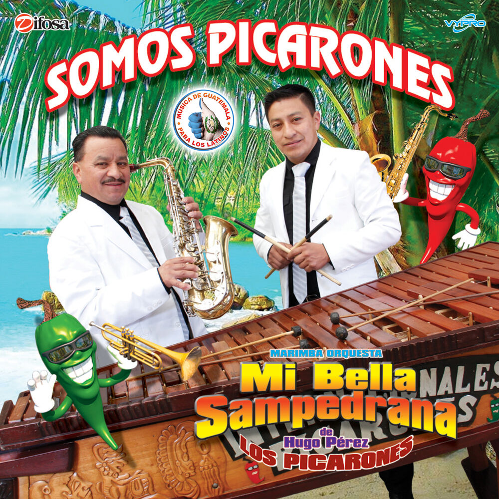 Picture of Somos Picarones. Música de Guatemala para los Latinos
