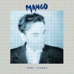 Pochette album