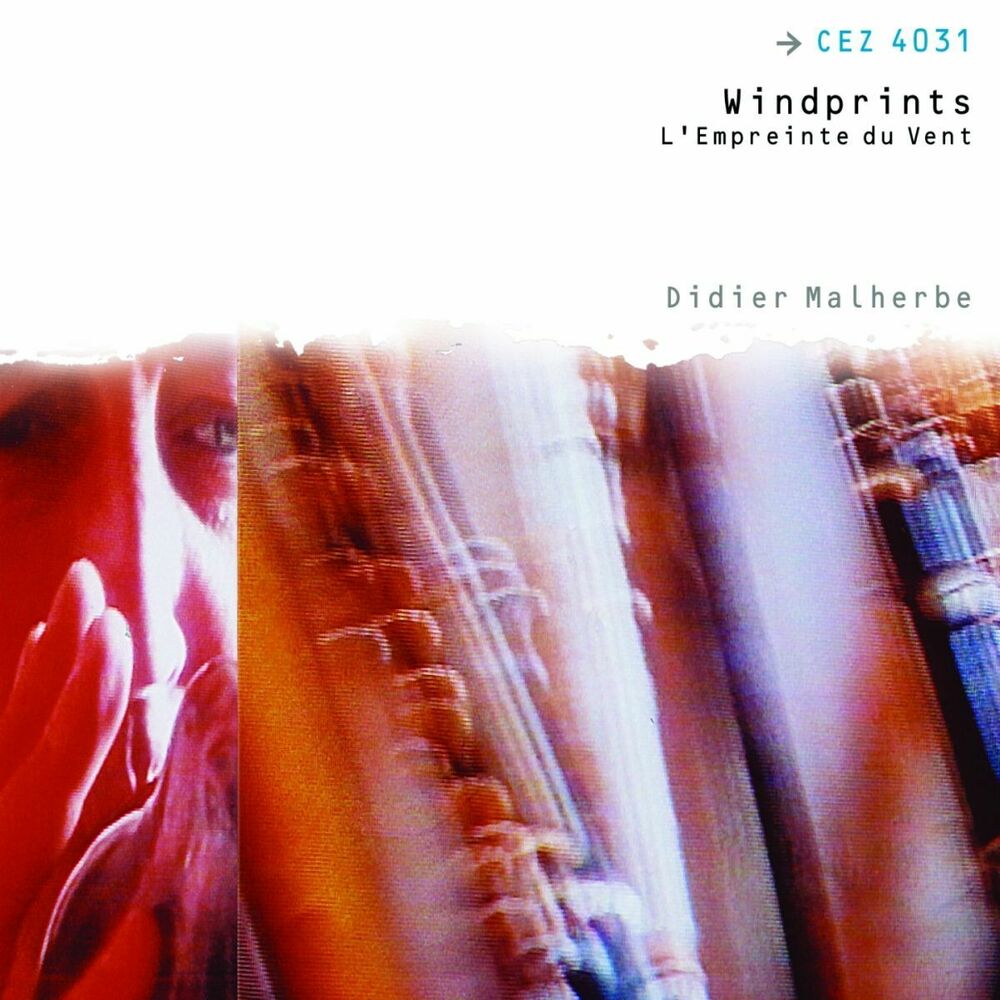 Picture of L'empreinte du vent - Windprints