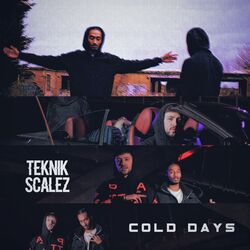 Cover of Cold Days
