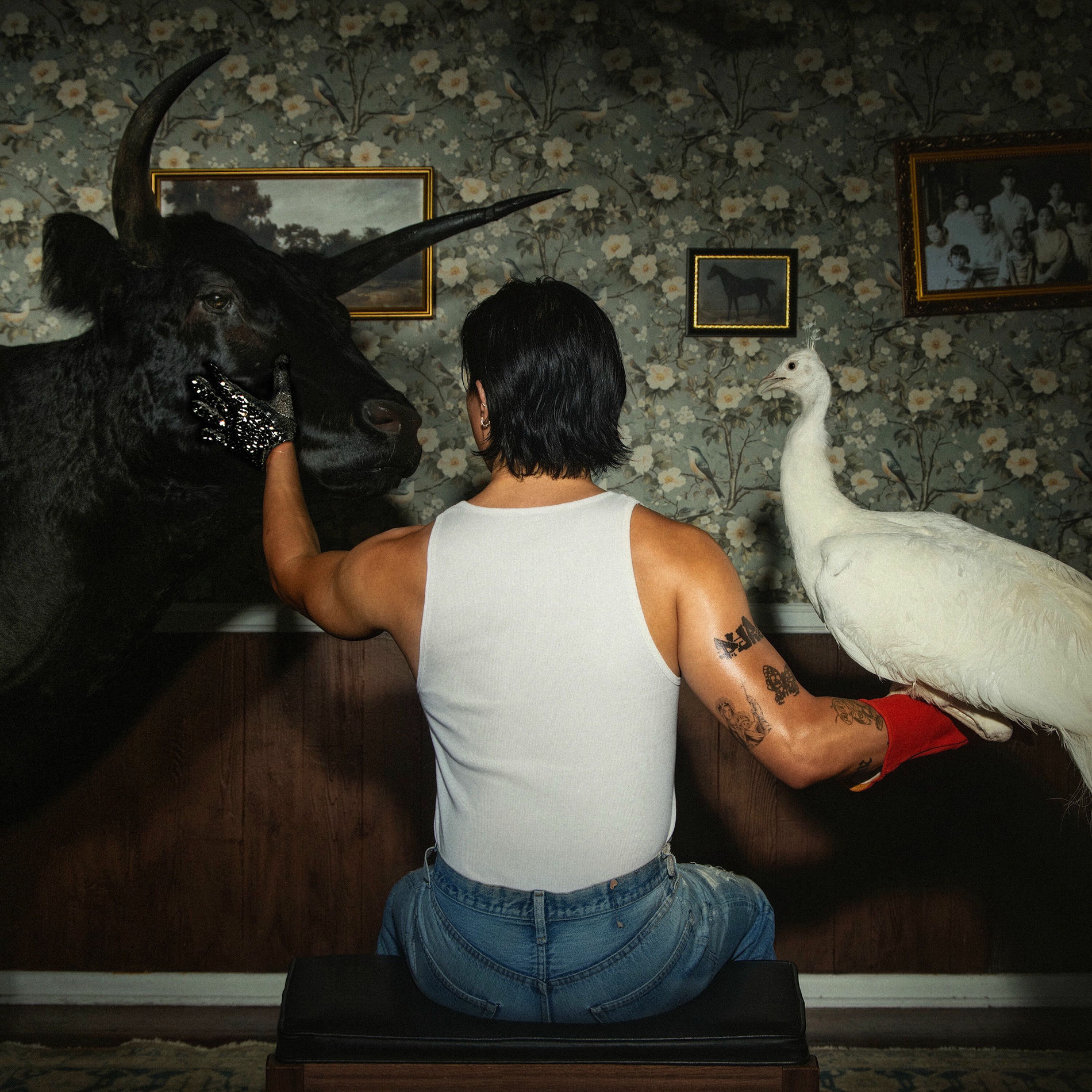 Album cover of jones