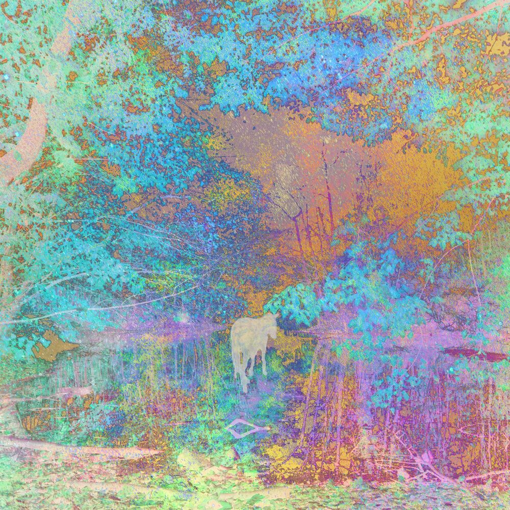 Picture of Selected Work 1999-2002 (b-sides) (remastered)