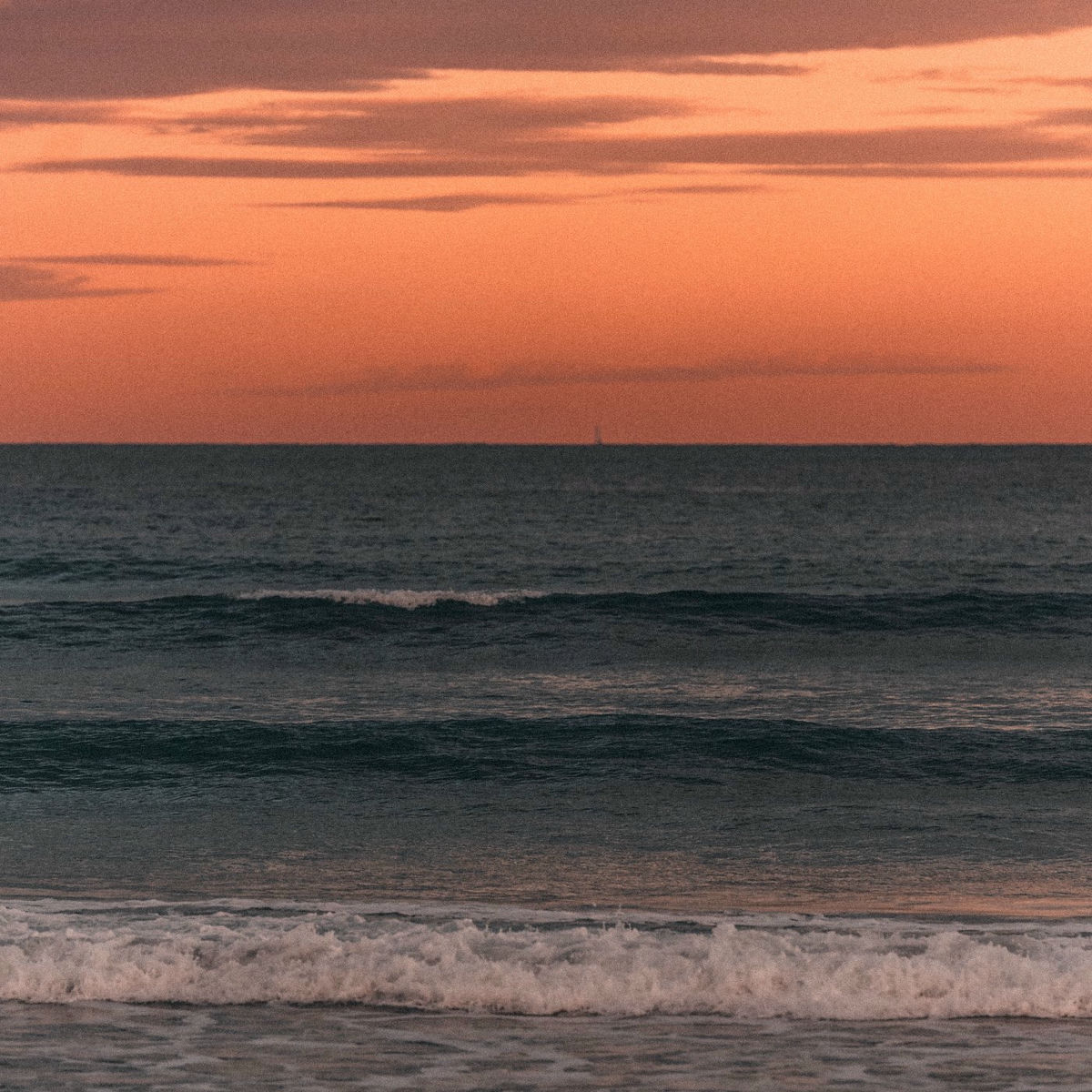 Album cover of Free