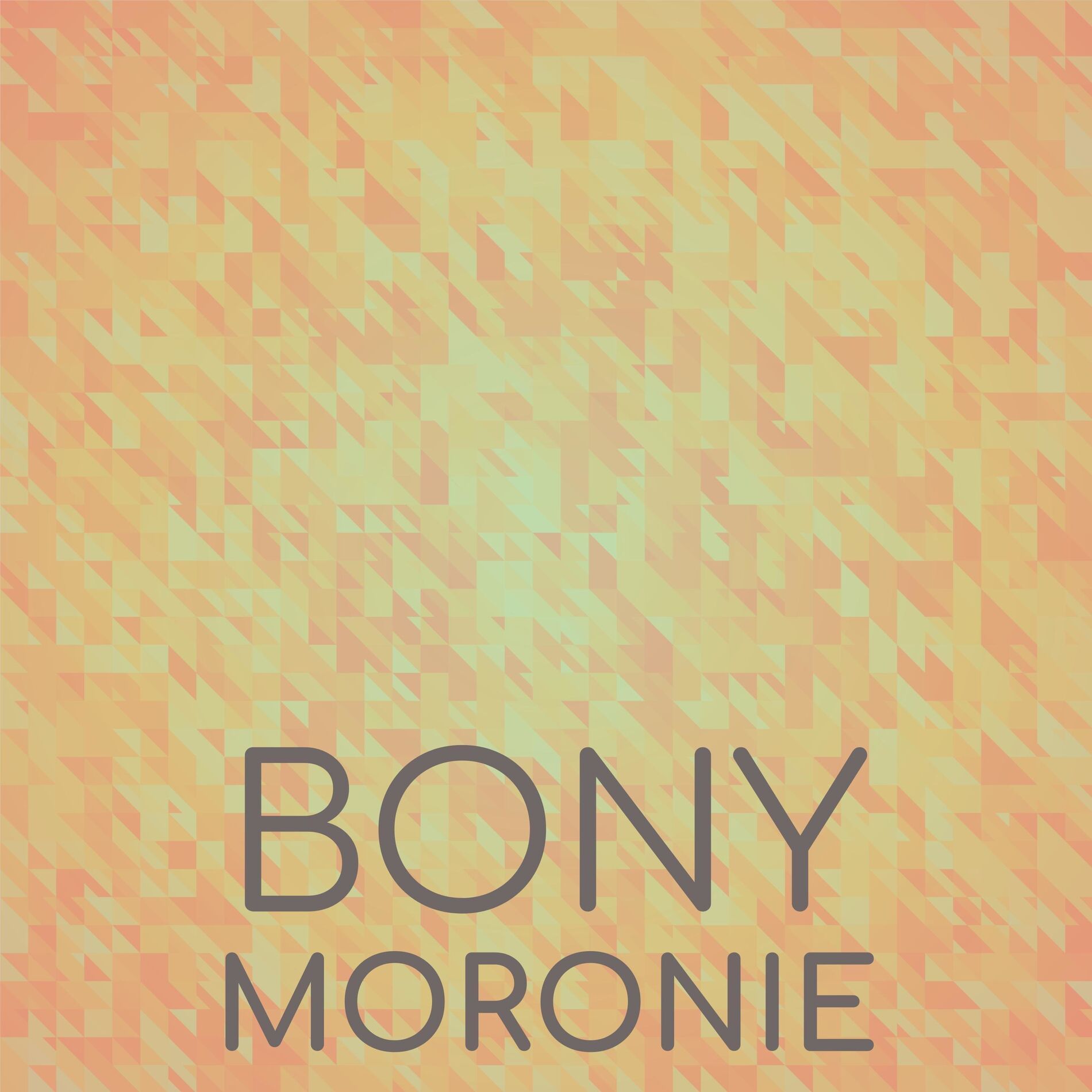 Album cover of Bony Moronie