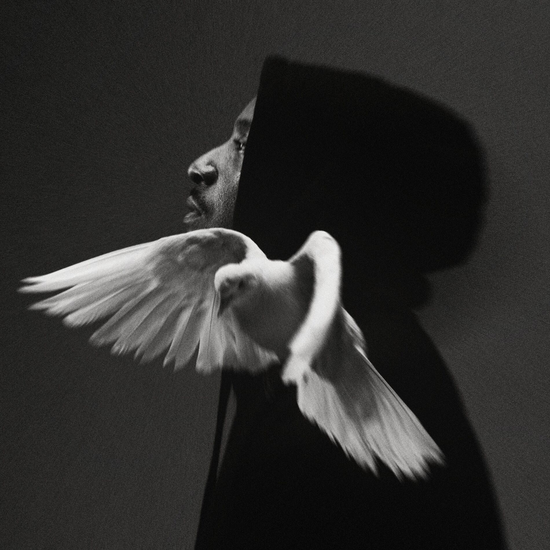 Album cover of C24
