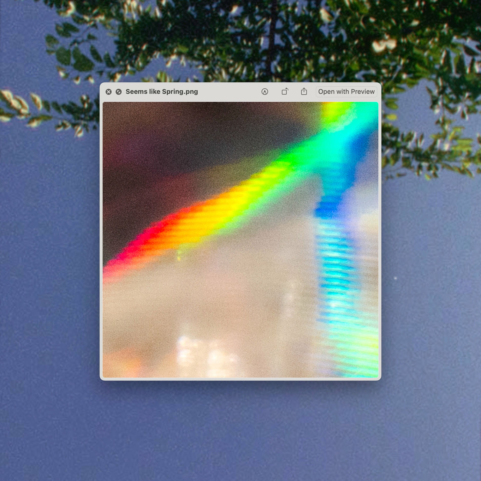 Album cover of Seems like Spring