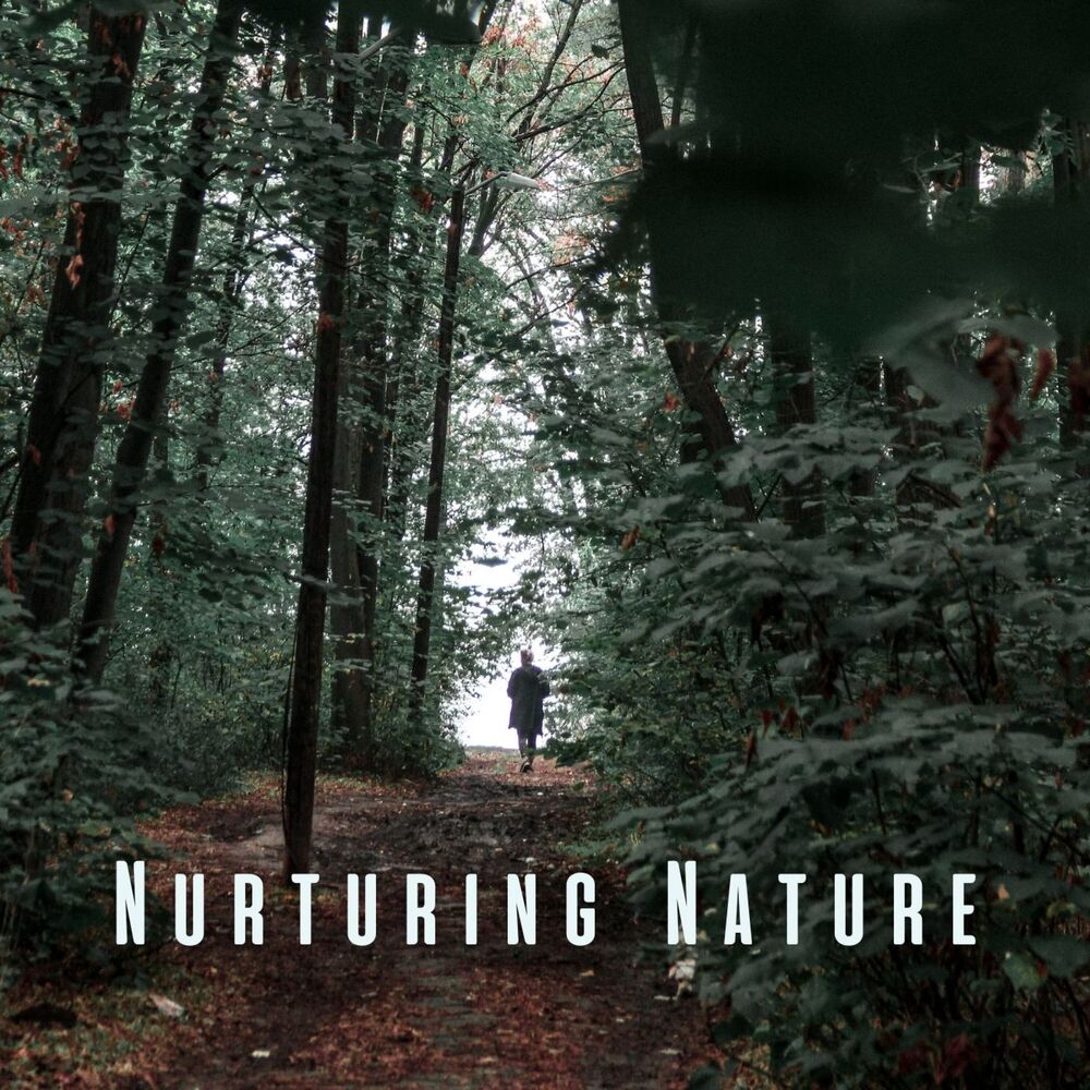 Picture of Nurturing Nature: Chill Sounds for Restorative Relaxation
