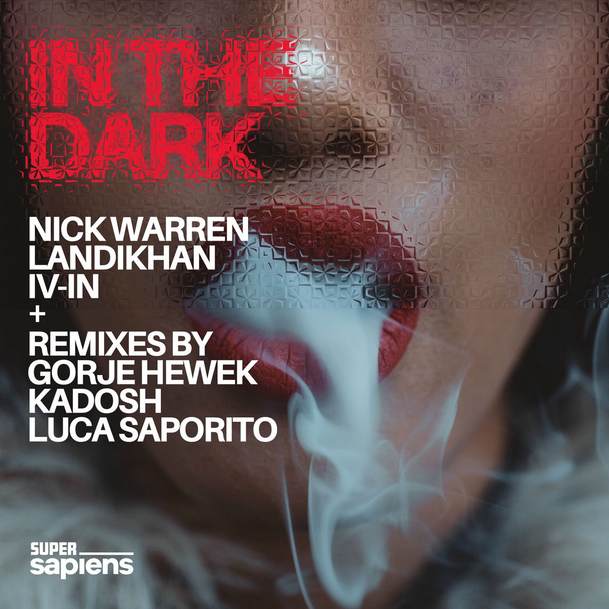 Album cover of In The Dark
