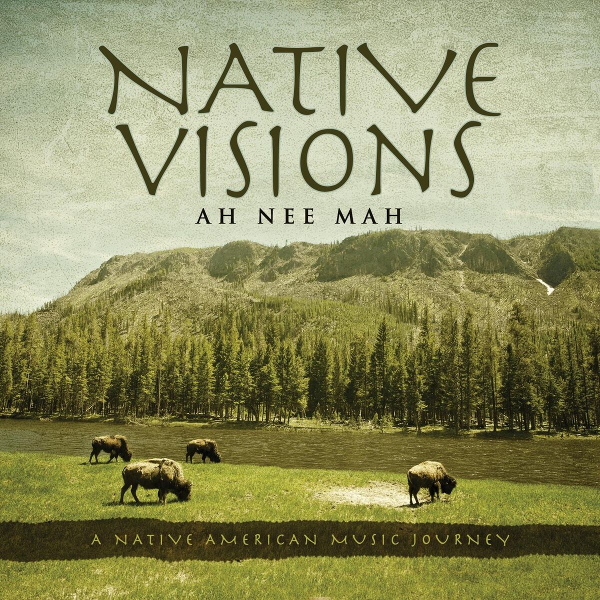 Album cover of Native Visions: A Native American Music Journey