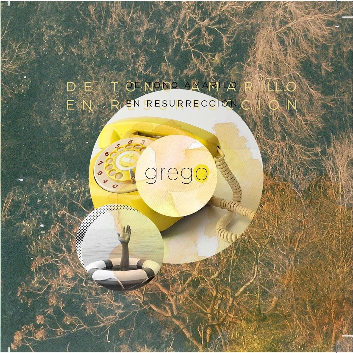 Album cover of De tono amarillo en resurreccion (EP)