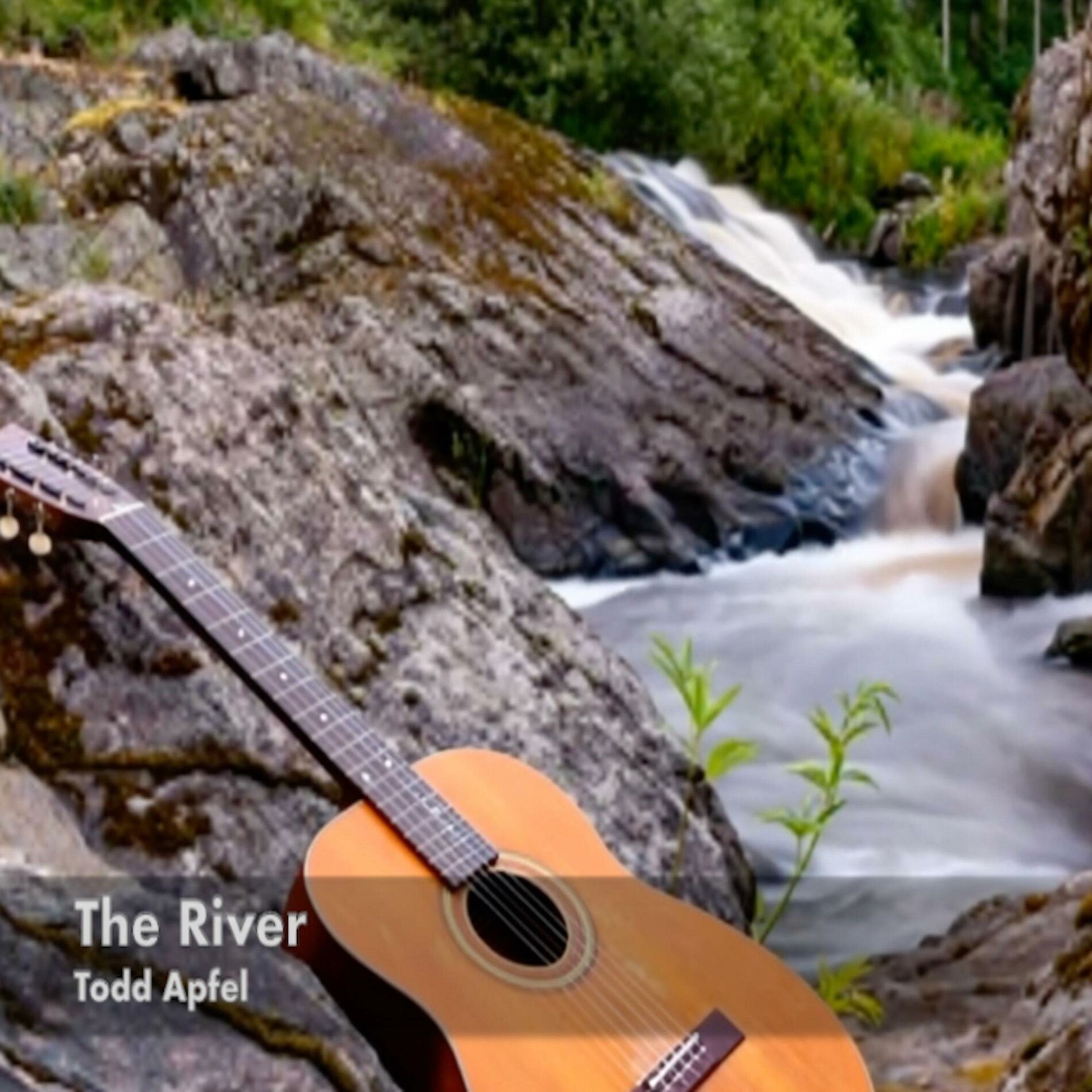 Album cover of The River