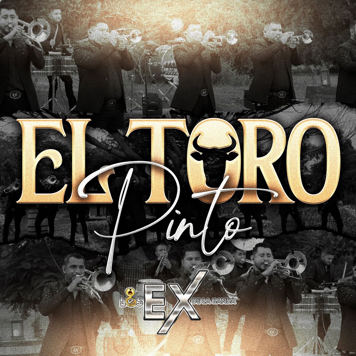 Album cover of El Toro Pinto