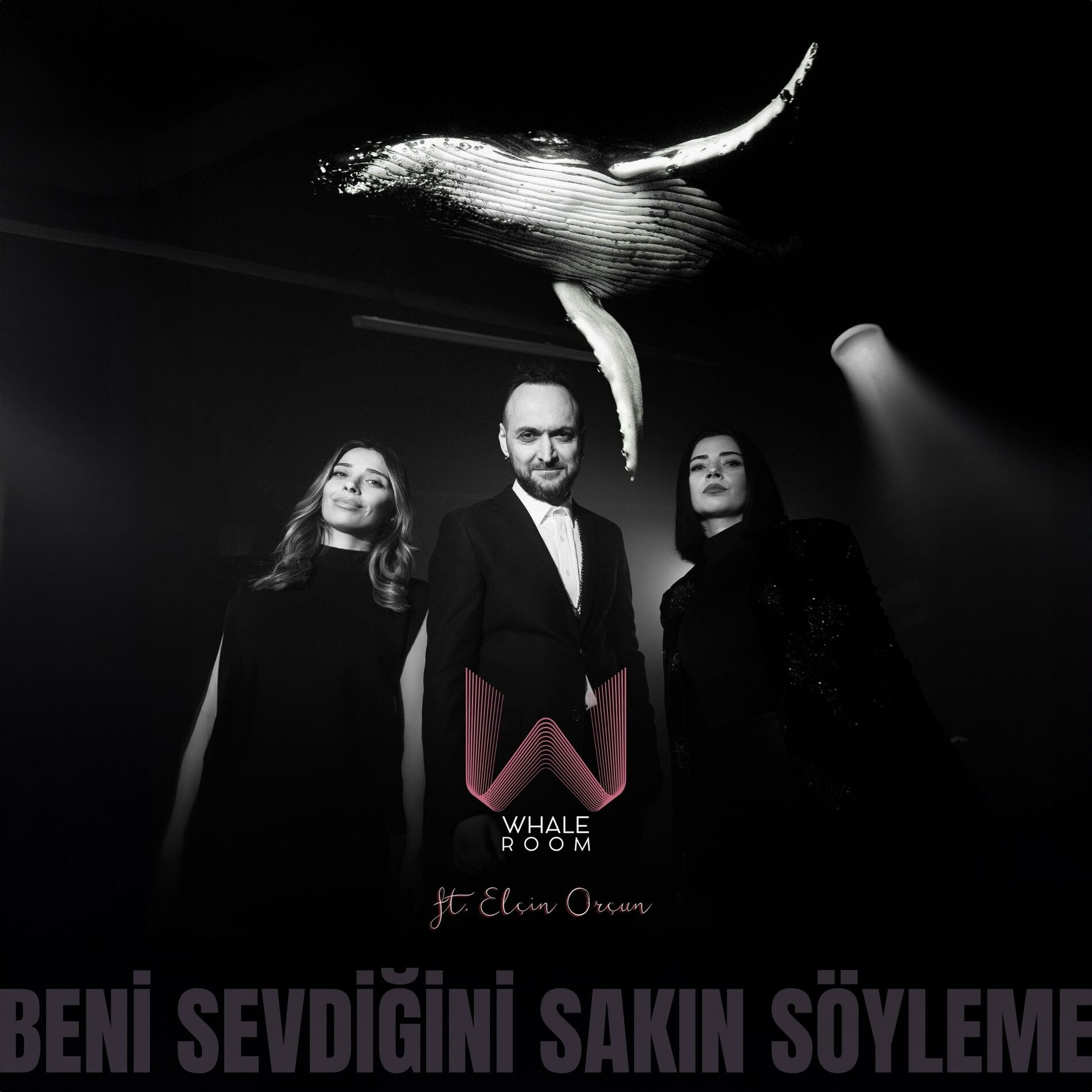 Album cover of Beni Sevdiğini Sakın Söyleme